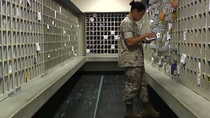 Iwakuni Pacific Spotlight: LCpl Kiarra Bronston