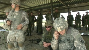 Canadians and Americans Call Artillery Fire
