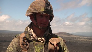 Fire Support Training Exercise during RIMPAC