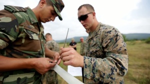 Cpl. Shakeshaft Profile