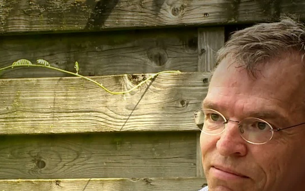 Was World War I good for medicine? From 1914’s grim reality to today’s virtual reality (International Version)