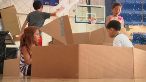 Cardboard Carnival