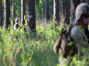 Raising Spartans: 2/6 Marines forge warrior spirit