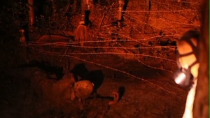 Combat Engineers Complete Night Infiltration Course