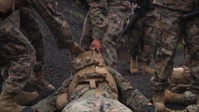 CLC 36 Logistic Marines Respond to a Simulated IED Attack