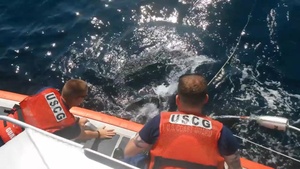 Coast Guard Rescues Entangled Turtle