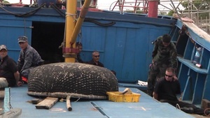 JIATF West Watercraft Boarding Training