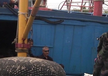 JIATF West Watercraft Boarding Training