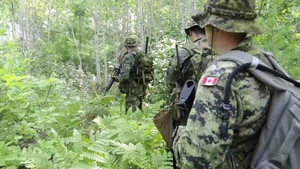 Operation Northern Strike 2014
