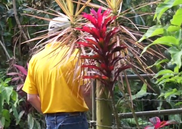 Hawaii Lead Officials Tour Storm Affected Areas