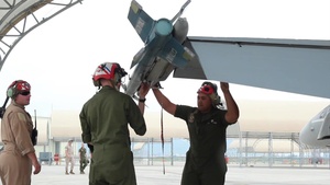 B-roll of MCAS Iwakuni Maintainers for F/A-18 Hornets On Keeping Birds Operational