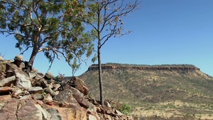 1/5 Scout Sniper Range