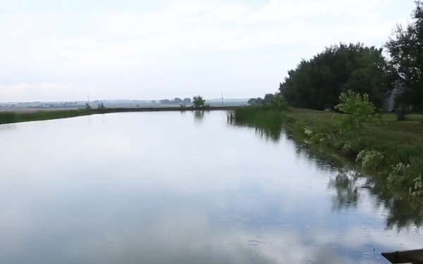 Waters of the U.S.: Pond