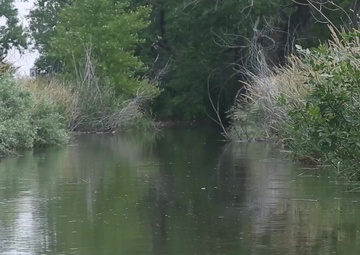 Waters of the U.S.: Ditch Near Farmland