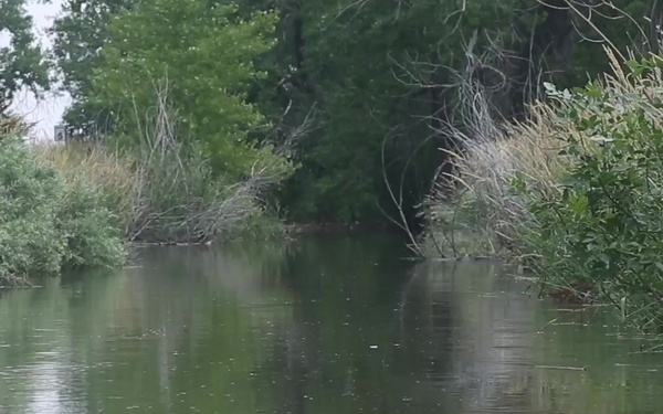 Waters of the U.S.: Ditch Near Farmland