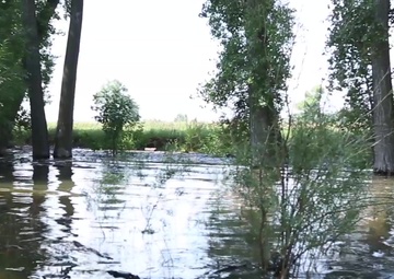 Waters of the U.S.: Ditch flowing into lake