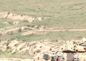 3ABCT CALFEX