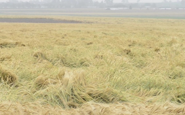 Waters of the U.S.- Cropland