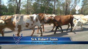 Altus Cattle Drive