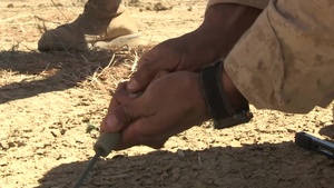 CLD 331 Combat Engineer Demolitions Range