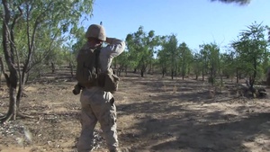 Alpha Company Movement to Contact Rehearsal