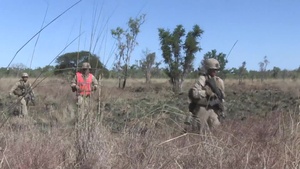 Alpha Company Live Fire Training