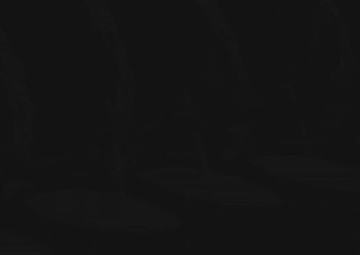 Spirit of America (Albany) 2014