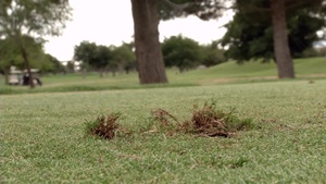 Underwood Golf Complex Spot