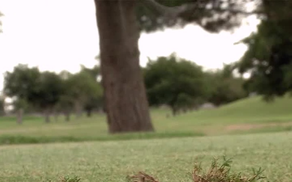 Underwood Golf Complex Spot