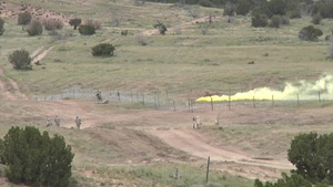 3ABCT CALFEX