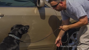This Week in Photos 8