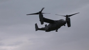 Exercise Jackal Stone 2014