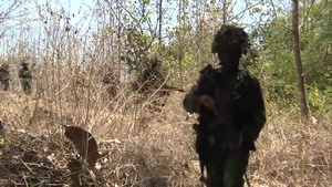 Jungle FTX