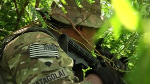 B-roll of U.S. Marines and Guam Army National Guard Soldiers Train Together