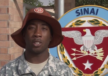 Jacksonville Jaguars Greetings - NFL