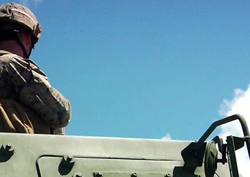 5th Battalion 11th Marines: A Few Among the Few