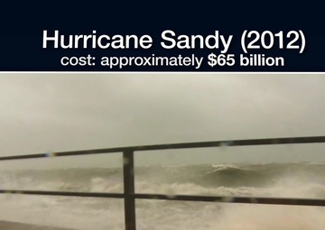 Climate Change: The Cost of Inaction