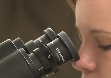 Who is Army Medicine?