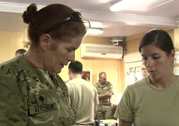 Herat's Role-2 Mission