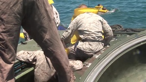 3rd Assault Amphibian Battalion Annual Surf Qualification