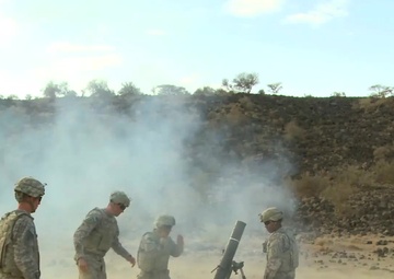 2-16 Live Fire Mortar Exercise