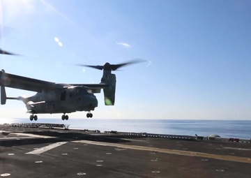 BLT 1/6 Marines Return to the Bataan