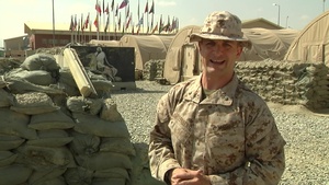 NFL Greetings/Veteran's Day