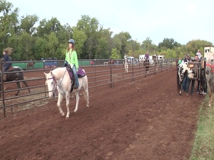 National Guard Kids Enjoy Annual Horseback Heroes