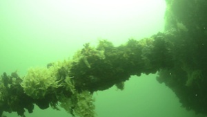 Underwater Images of USS Utah Memorial