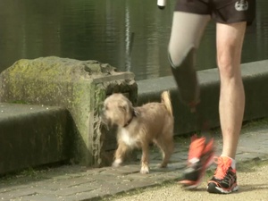 EOD 5k Run