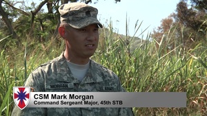 45th STB Builds Confidence, Teamwork During Live-fire Exercise