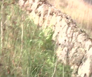 Operation Atlantic Resolve OPFOR Estonia
