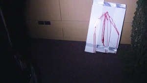 Nightmare on D-Cad