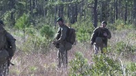 Exercise Bold Alligator at LZ Dolphin Atlantic N.C.